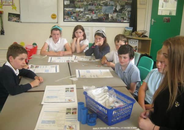 Wales High School student e-mentors Harthill Primary children