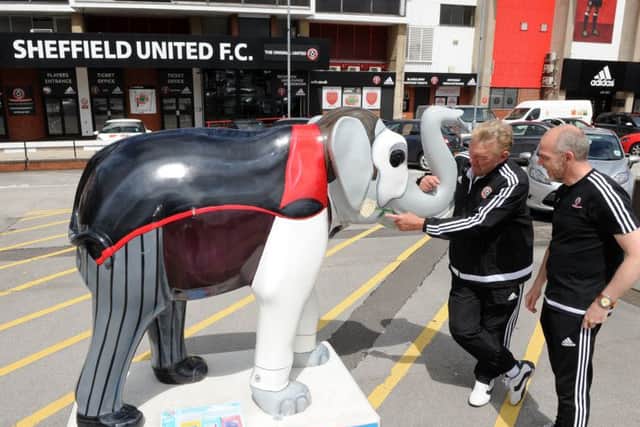 Ex Sheffield United player Tony Currie and Head of Community Mark Todd look at an elephant outside Sheffield United Football Club, which is part of the Herd trail. Picture: Andrew Roe