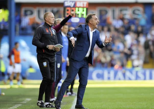 Owls boss Carlos Carvalhal on the touchline as he prepares to bring on Atdhe Nuhiu