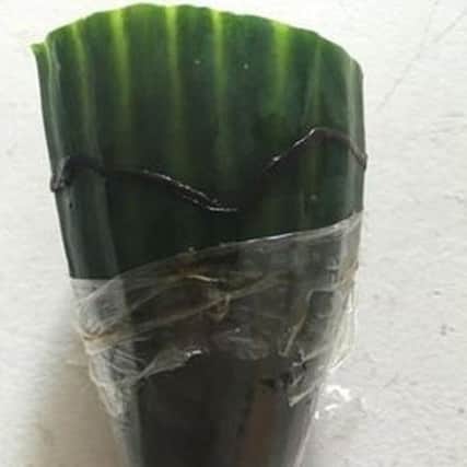 Worm inside cucumber wrapping bought from Tesco in Dinnington.