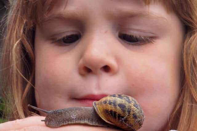 Felicity LeGros (4) keeps her eyes on a garden snail