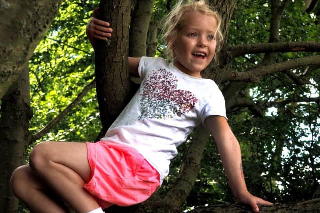 Chloe Horne (6) tree climbing at Longshaw