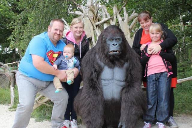 My Guy: Gorilla photo opp for all the family