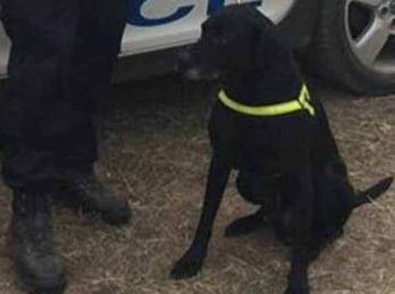 Police dog Duke