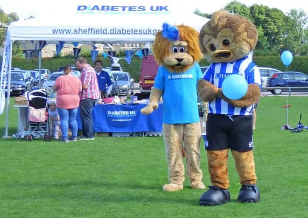 Sheffield Diabetes UK group mascot Leopold the Lion with Sheffield Wednesday FC mascot Ollie the Owl at last year's 'Walk for Diabetes'
