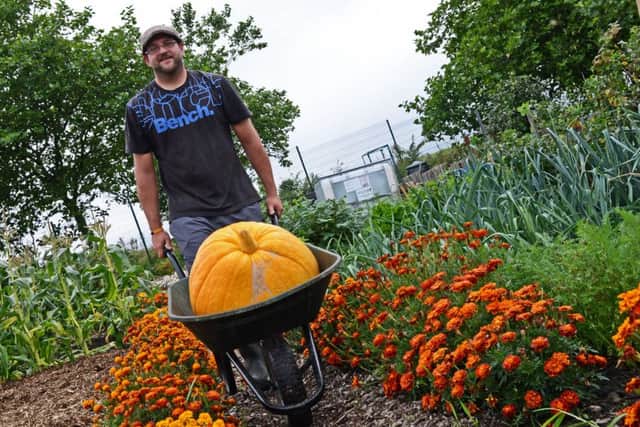 Sam Squires, pictured with his 80lb Big Max Pumpkin, grown on his Parson Cross allotment patch. Picture: Marie Caley NDFP Pumpkin MC 2