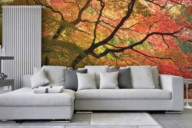Autumn tree wall mural. Picture: PA Photo/Handout