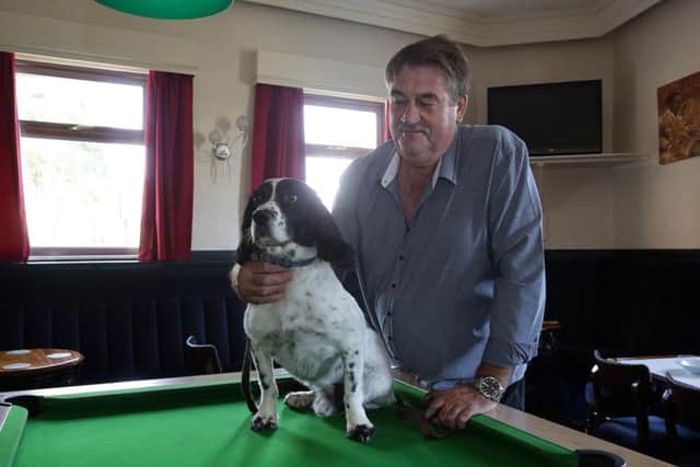 Sonny the Springer with owner Paddy Moloney, after Sonny's head was trapped in the pool table at the White Hart pub