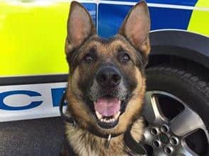 PD Khoba