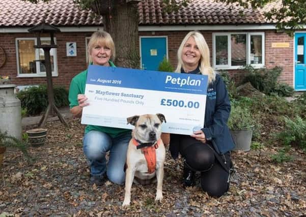Archie the dog with Mayflower and Petplan representatives - the charity has donated Â£500 to the sanctuary