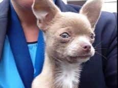 Have you seen Hugo?