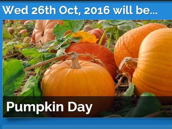 Pumpkin Day: good gourd