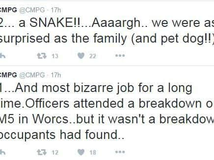 The traffic cops live tweeted the unusual incident. Picture: Central Motorway Police Group Twitter
