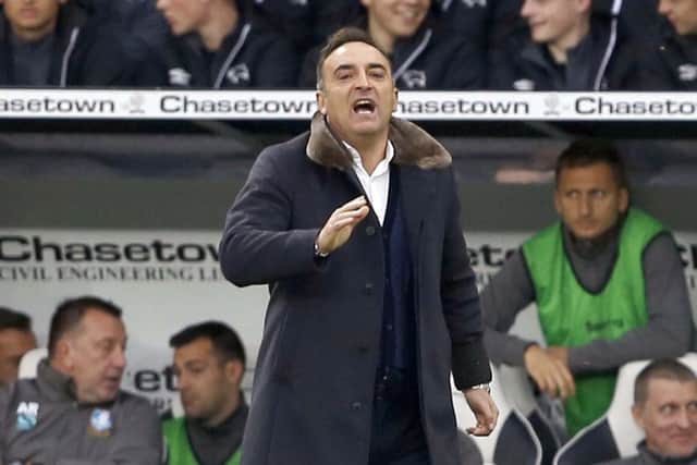 Owls head coach Carlos Carvalhal on the touch line