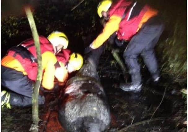 Fire crews rescue Gypsy