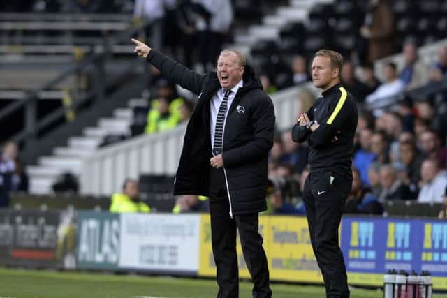 Steve McClaren has turned around the fortunes of Derby County