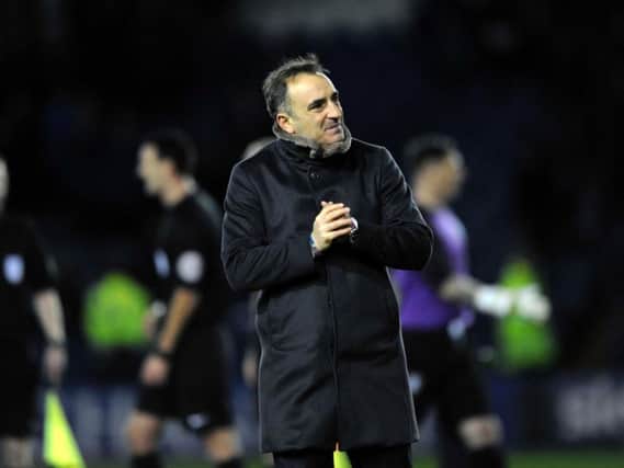 A frustrated Carlos Carvalhal after defeat to Ipswich Town
