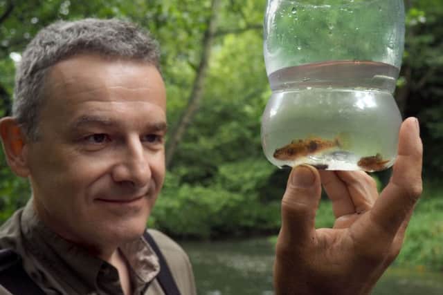Weir removal on Peak District rivers: Tim Jacklin from the Wild Trout Trust looking at bullhead caught in the Dove