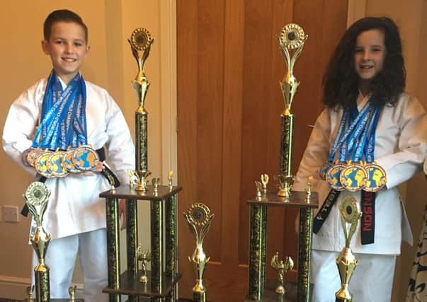 Sheffields Elite Martial Artists Twins Louie Anson and Alicia Anson, aged 10, world champions in traditional karate and Musical Martial Arts.