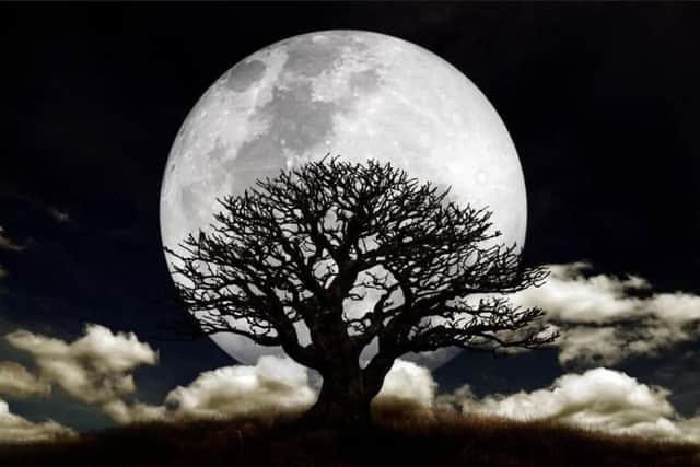 Tonight there's a good moon on the rise