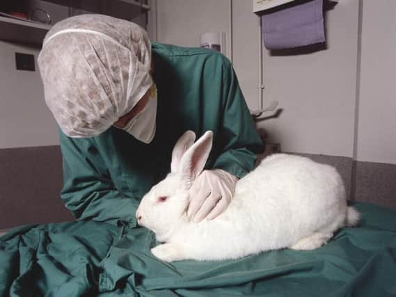 The University says some research cannot be done without using animals. Photo: Understanding Animal Research
