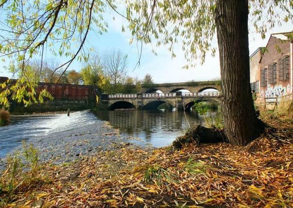 Reader Pic Autumn by the River Don at Norfolk Bridge.
Les Cornthwaite.