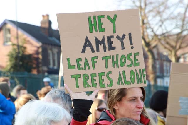 Residents gather en mass to protest at the felling of the trees on Rustlings Road, Sheffield, United Kingdom, 26th November 2016. Photo by Glenn Ashley.