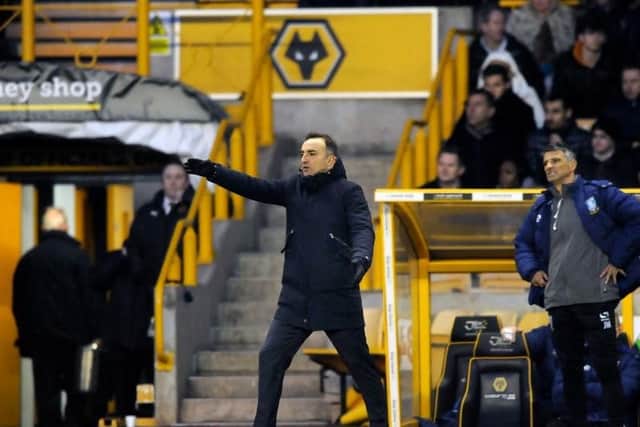 Carlos Carvalhal on the touchline at Molineux