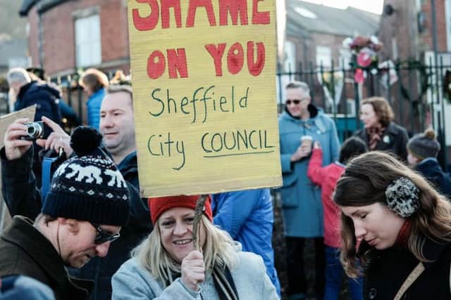 A protest against tree felling in Endcliffe Park, Sheffield