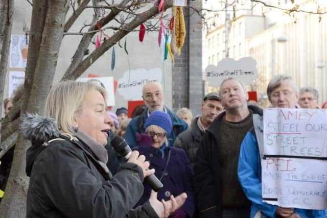 Natalie Bennett addresses the crowd outside Sheffield Magistrates' Court. Picture Marisa Cashill/The Star