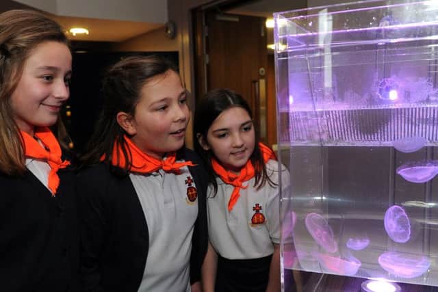 Pupils of St Marie's School look at jellyfish at an interactive lecture about sea life at the Octagon.