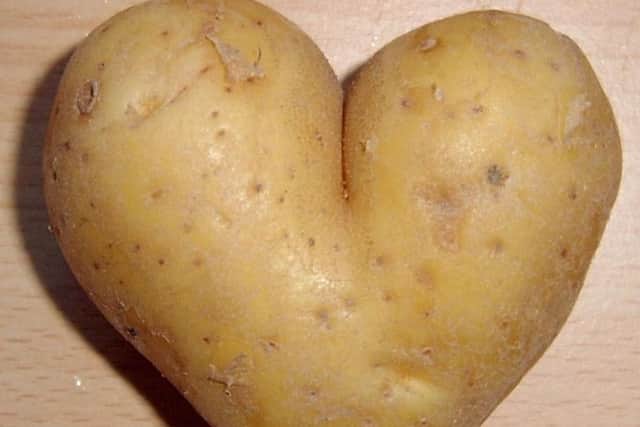 Spud we like