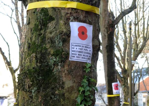 Poppies and ribbons have been put on the trees on Western Road.