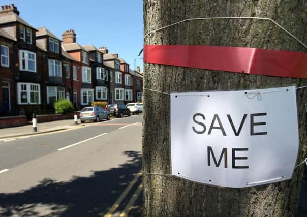 Save the trees campaign on Rustlings Road in Sheffield