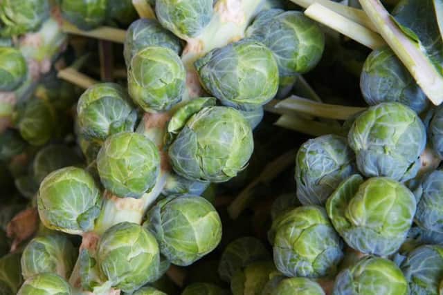 Shout out for sprouts