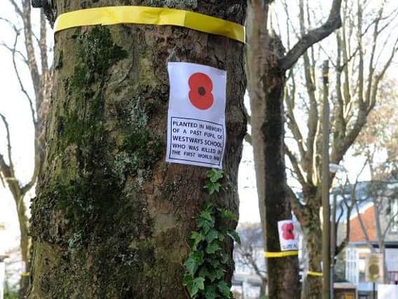 Campaigners have tied yellow ribbons around a numberof the 20,000 trees Sheffield Council is proposing to fell as part of a citywide tree replacement programme to be carried out by Amey.