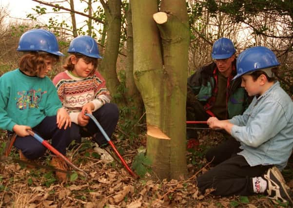 Amy and kathryn hattersley look on as Wildlife Volunteer Stuart Fells shows them and Ryan Worthington how to fell a Sycamore tree in Roe Wood Sheffield