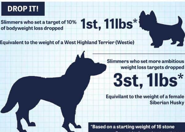 Weight to go: what weight you could doggone lose