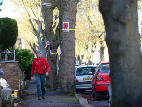 The future of trees in Western Road are being discussed at a Sheffield council meeting today (Wednesday) after residents gathered a 5,000 signature petition. The trees could be subject to a destruction order but locals are outraged as the trees were planted in 1920 as a living memorial to pupils from the local school who were killed in WW1.Pictured campaigner Alan James. Picture Scott Merrylees