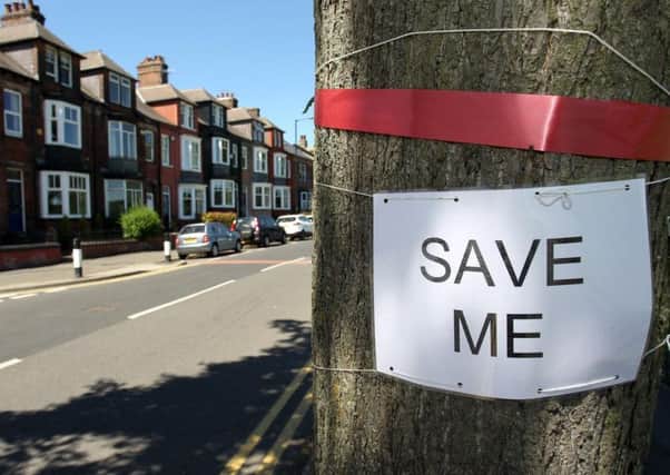 Save the trees campaign on Rustlings Road in Sheffield