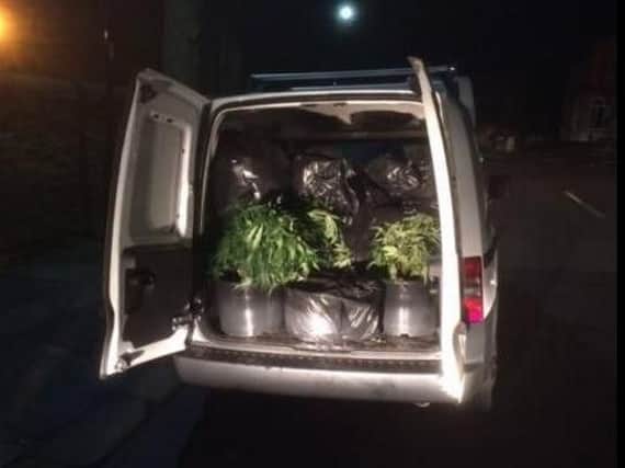 Cannabis plants were found in a van in Sheffield