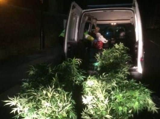 Cannabis plants were found in a van in Sheffield