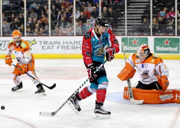Belfast Giants' Michael Forney in action against his old team, Steelers, last month. Photo by William Cherry