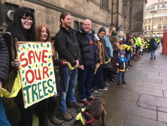 Tree protesters circle the town hall.