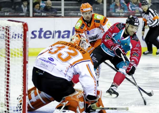 Sheffield Steelers' Ervins Mustukovs during Sundays Elite Ice Hockey League game at the SSE Arena, Belfast. Pic: Photo by William Cherry