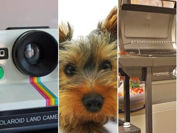 A Polaroid camera, painting of a Yorkshire Terrier and a barbecue were all left at a Sheffield hotel during 2016.