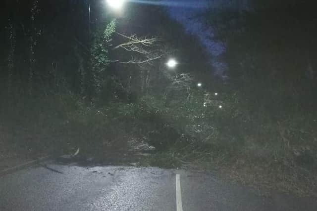 A fallen tree on Penistone Road