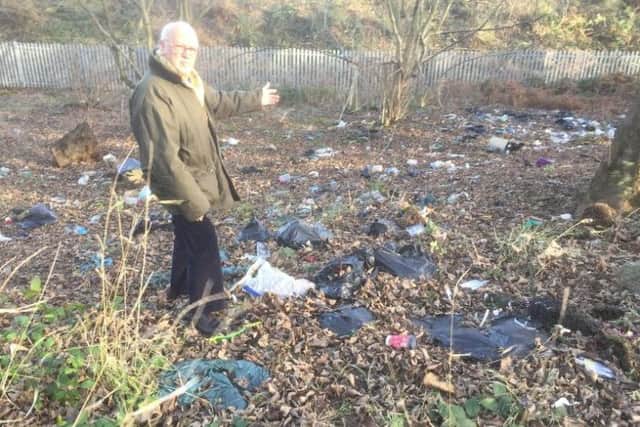 A wooded area off Ecclesfield Road strewn with litter