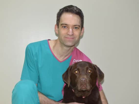 PDSA vet Rob Haselgrove with his dog Puddle