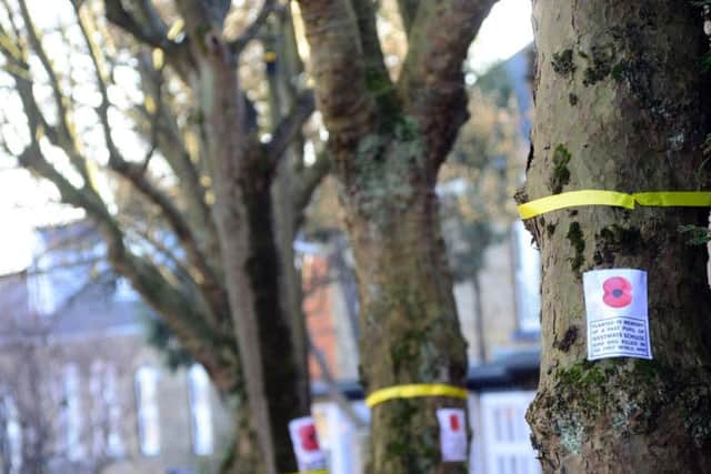 Sheffield Council has identified 27,000 trees for felling.